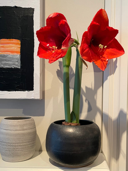 Gunmetal Black - Vase